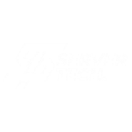 Logo of server tech solution- leading digital marketing agency in bihar providing services like Smm,Seo,Ppc and other.